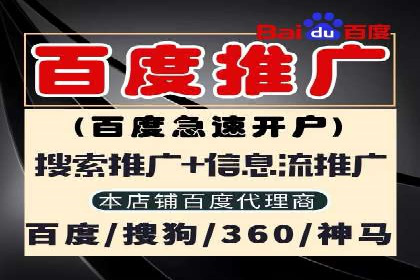 SEM推广在本地化服务中的应用案例